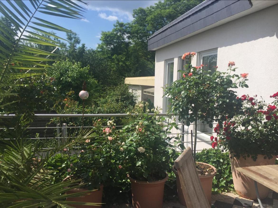 Bei Annemarie Apartment เทรียร์ ภายนอก รูปภาพ